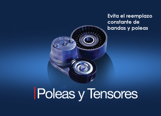 Poleas y Tensores
